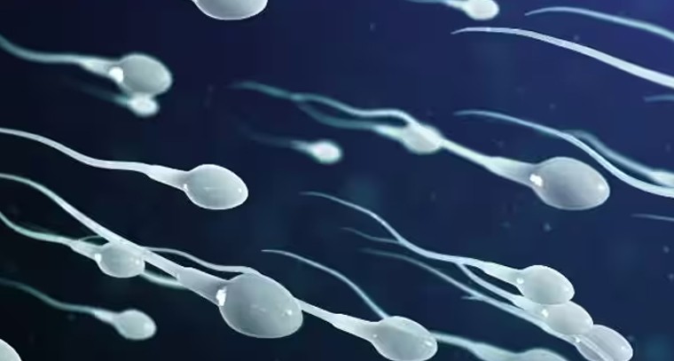 వీర్యం ఎంతకాలం సజీవంగా ఉంటుంది?