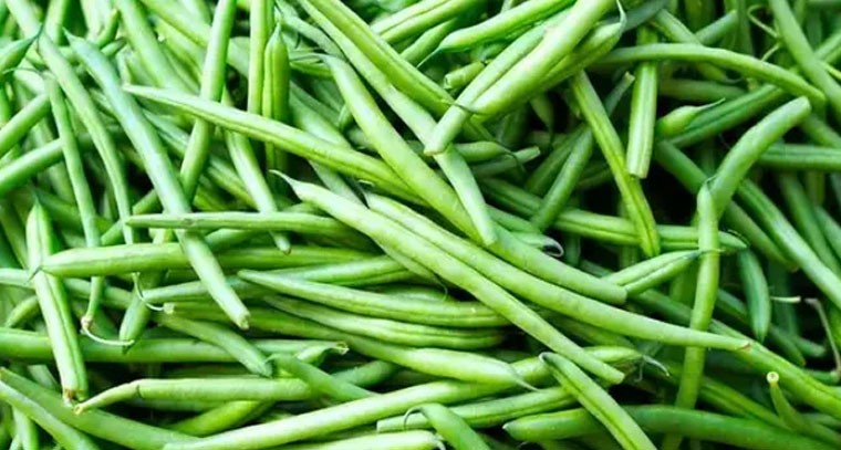 బీన్స్ తింటే గుండె ఆరోగ్యానికి మేలు: నిపుణులు