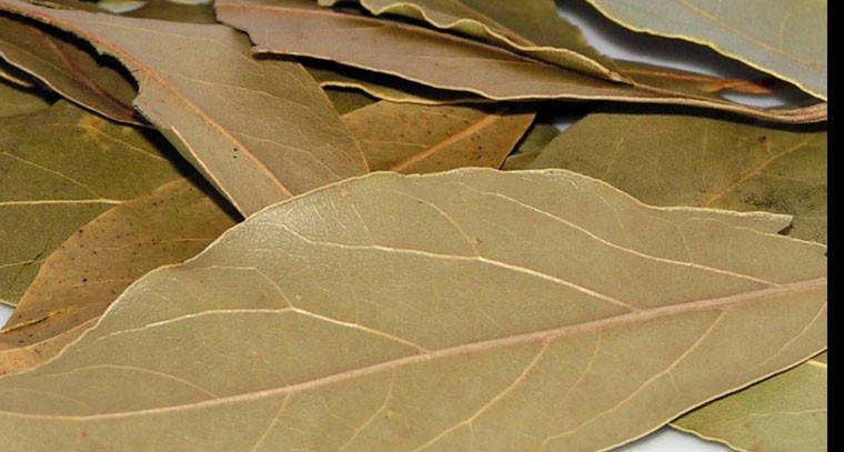 బిర్యానీ ఆకుతో ఇన్ని లాభాలా