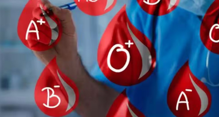 B బ్లడ్ గ్రూప్ వాళ్లు తినాల్సిన ఆహారం.. 