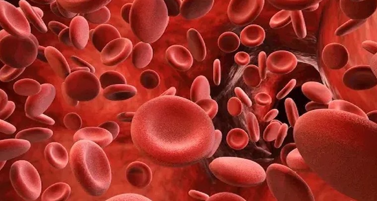 'మాల్' అనే కొత్త బ్లడ్ గ్రూపును కనుగొన్న శాస్త్రవేత్తలు