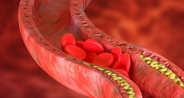 రక్తం బాగా వేగంగా తయారు కావాలంటే.. వీటిని తినాలి..!