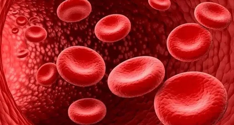 బ్లడ్‌ గ్రూప్ 'A' ఉన్నవారికి లివర్ వ్యాధుల ముప్పు ఎక్కువ: అధ్యయనం