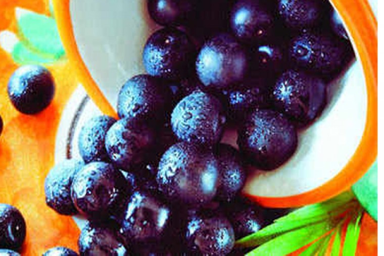 నేరేడుపండును ఈ సీజన్లో తప్పక తీసుకోవాలి...!