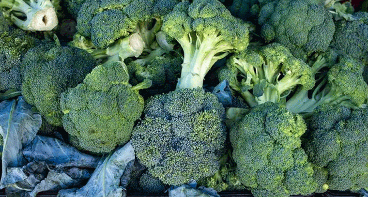 బ్రోకలీతో 50 ఏళ్ల వరకు యవ్వనంగా కనిపించవచ్చట!