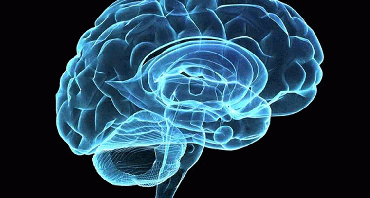 చాట్ జీపీటీ వాడకం మెదడు సామర్థ్యాన్ని తగ్గిస్తుంది: అధ్యయనం
