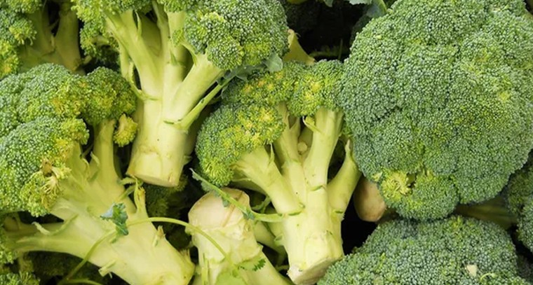 బ్రోకలీ క్యాన్సర్​ను అడ్డుకుంటుందా?