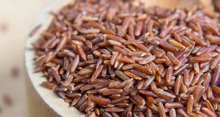 బ్రౌన్ రైస్ తింటే షుగర్ కంట్రోల్‌లో ఉంటుంది: నిపుణులు