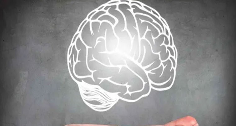 శరీర కొవ్వు, కండరాలే మెదడు వయసును నిర్ణయిస్తాయి: పరిశోధన