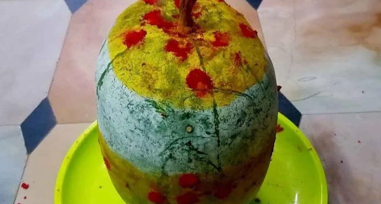 బూడిద గుమ్మడికాయ కుళ్లిపోయిందా..