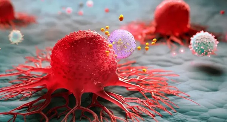 ప్రయోగం సక్సెస్‌.. ఒక్క ఇంజెక్షన్‌తో క్యాన్సర్‌ నయం!