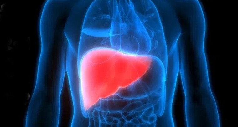 కాలేయాన్ని శుభ్రం చేయడానికి సరైన మార్గం మరియు ఇంటి నివారణలు..