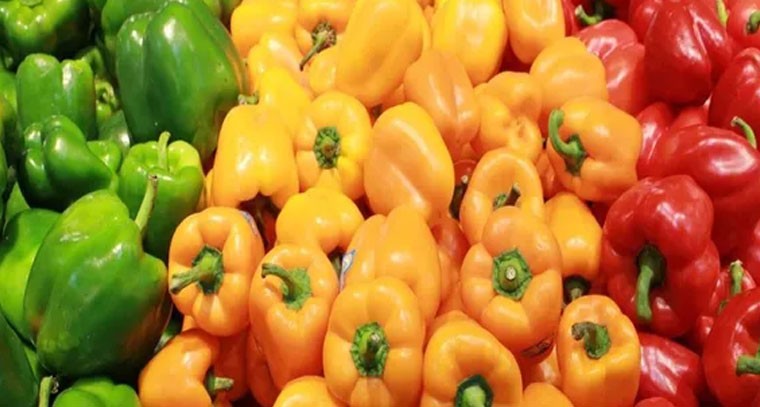 క్యాప్సికం తింటే కంటి సమస్యలు దూరం