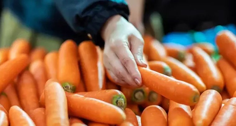 వారానికి రెండుసార్లు క్యారెట్లు తింటే క్యాన్సర్ దూరం!