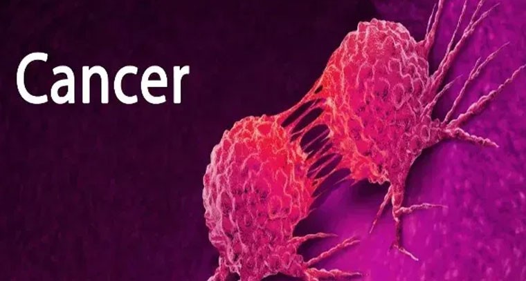 ఈ ఆహారాలు క్యాన్సర్‌ను అడ్డుకుంటాయి!