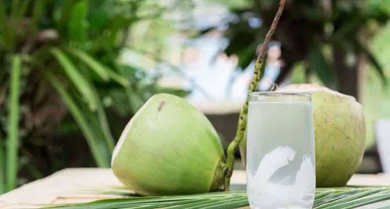 శీతాకాలంలో కొబ్బరి నీళ్లు తాగొచ్చా: వైద్యుల సూచనలు