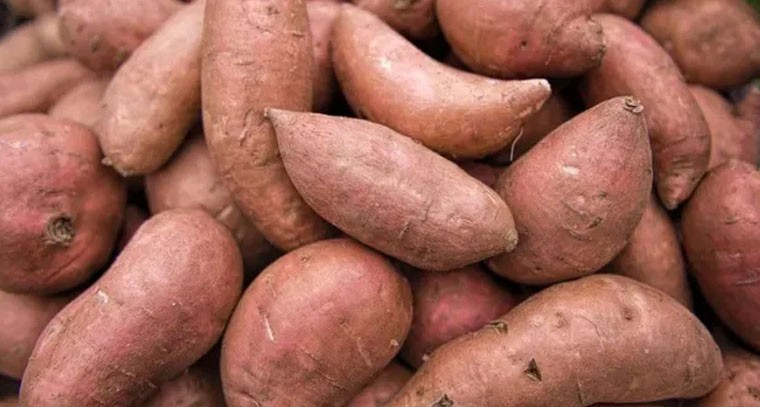 చిలగడదుంపలతో మంచి ఆరోగ్యం