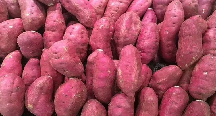 చిలగడదుంపతో ఆరోగ్య ప్రయోజనాలు