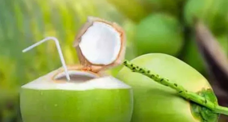 కొబ్బరి నీటితో జీర్ణక్రియకు మేలు: నిపుణులు