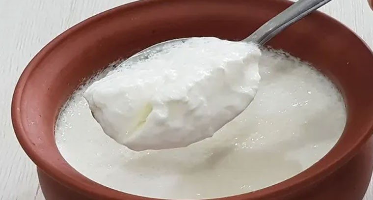 పెరుగు తినే సరైన సమయం: నిపుణుల సూచనలు