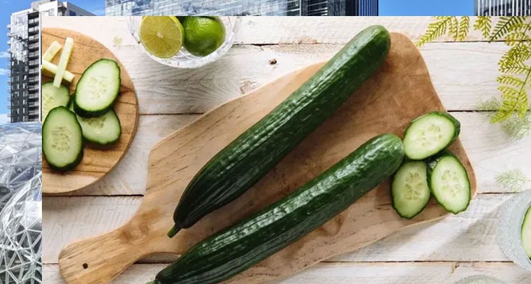 దోసకాయ: ఎప్పుడు, ఎవరు తినకూడదో తెలుసా!