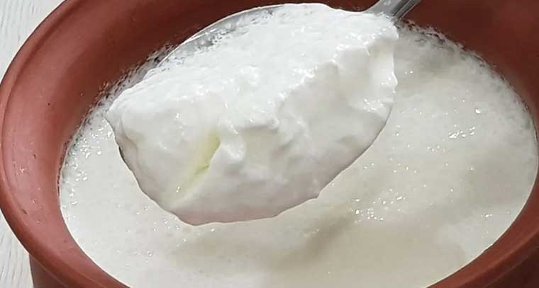 పెరుగుతో వీటిని అస్సలు తినకండి