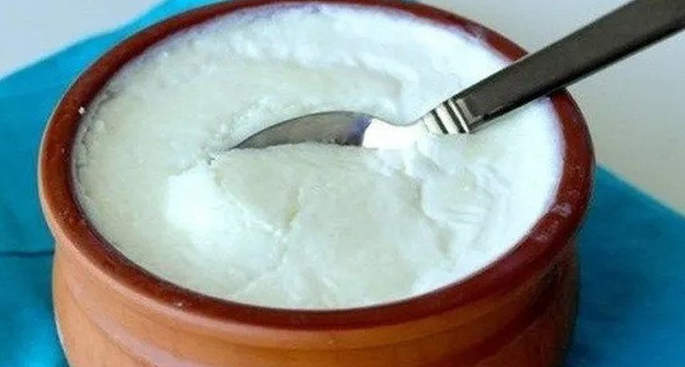 తోడు లేకుండానే మీ ఇంట్లో కమ్మటి పెరుగు.. ఇలా చేయండి!