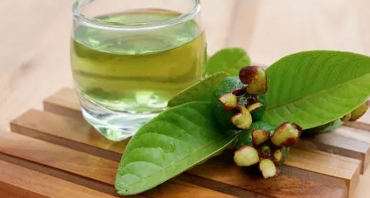 డయాబెటిస్ నియంత్రణకు జామ ఆకుల టీ