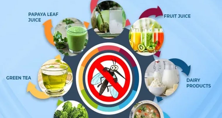 డెంగ్యూ రోగులు వీటిని తప్పకుండా తీసుకోవాలి!