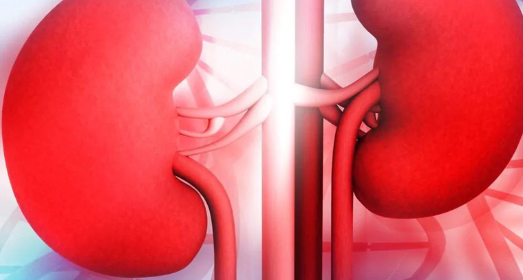  మీ కిడ్నీలు నేచురల్‌గా క్లీన్ అవ్వాలంటే