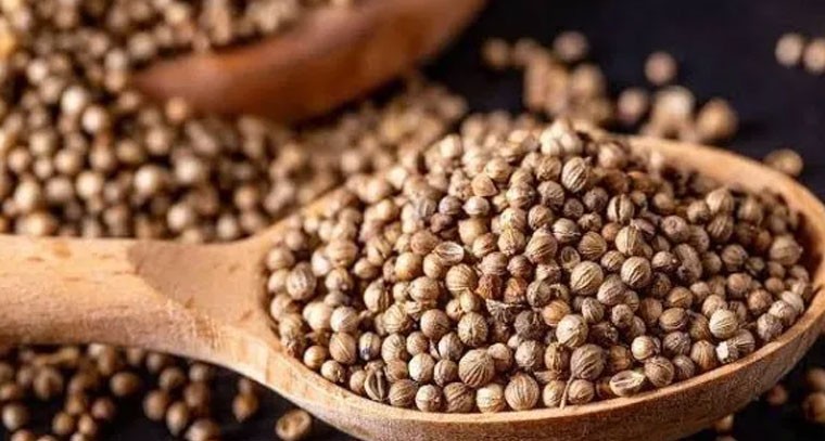 ఆరోగ్యానికి ధనియాలు: బీపీ, కొలెస్ట్రాల్, షుగర్ నియంత్రణలో కీలకం