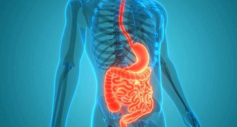 మీ ప్రేగు ఆరోగ్యంగా ఉండటానికి ఈ 7 పద్ధతులను అనుసరించండి