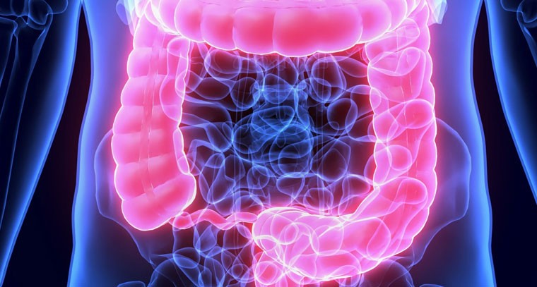 జీర్ణ సమస్యలను నిర్లక్ష్యం చేస్తే వచ్చే నష్టాలు ఇవే!