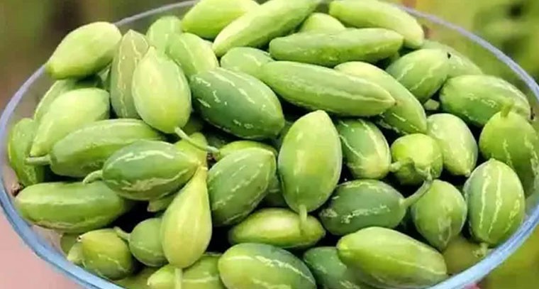 దొండకాయతో జీర్ణక్రియకు మేలు: నిపుణులు