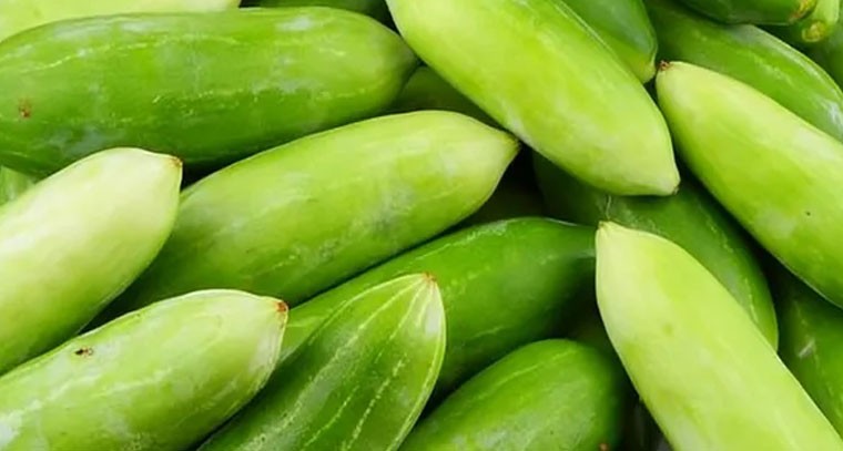 దొండకాయతో జీర్ణక్రియకు మేలు: నిపుణులు