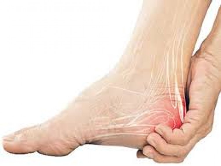 కొందరిలో ఉదయం నిద్ర లేవగానే కాలి మడమల్లో నొప్పిగా అనిపిస్తుంటుంది. 