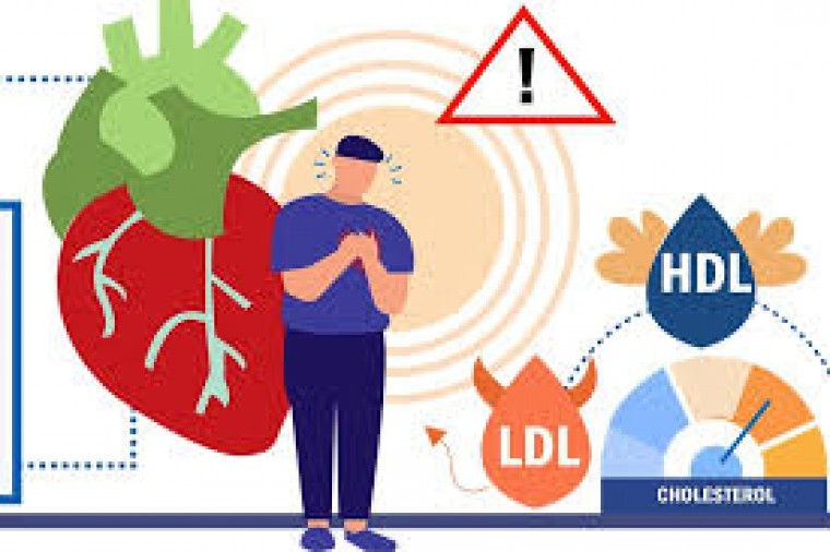 అధిక కొలెస్ట్రాల్ వల్ల సూక్ష్మ రక్తనాళాల్లో రక్త సరఫరాకు అడ్డంకులు