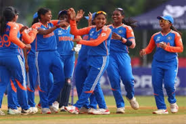 వరల్డ్ కప్ ఫైనల్లో టీమిండియా గెలుపు దిశగా పయనిస్తోంది