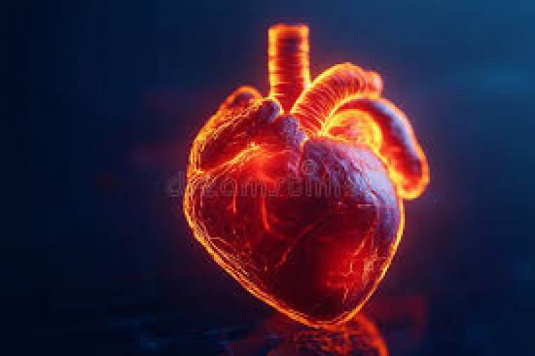 గుండె ఆరోగ్యం కోసం 5 సులభమైన దైనందిన అలవాట్లు