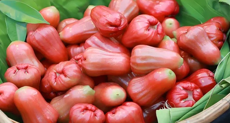 బాడీని చల్లబరిచే వాటర్ యాపిల్స్