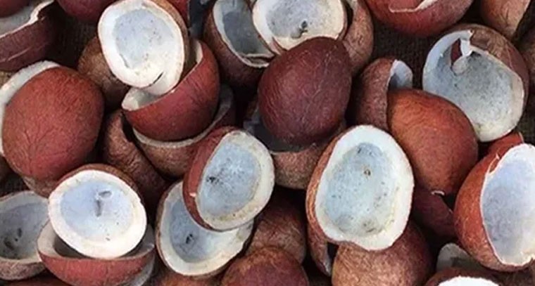 ఎండు కొబ్బరిలో ఎన్నో పోషకాలు