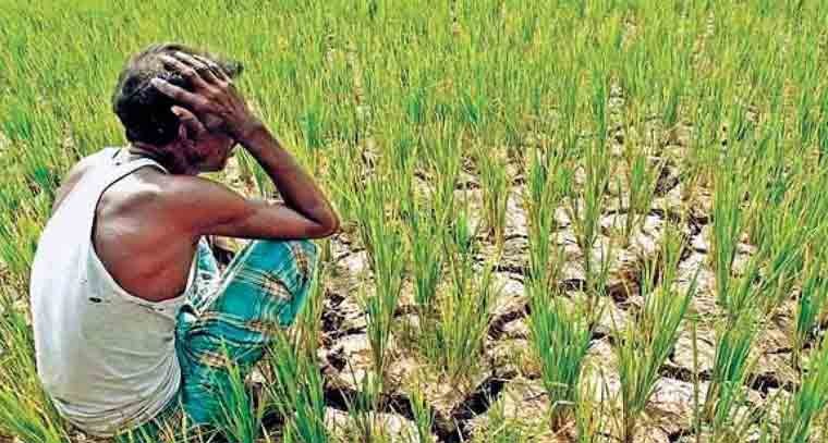 ఫసల్‌ బీమా పరిధిలోకి వచ్చే రాష్ట్రాల జాబితా నుంచి ఏపీని తొలిగించడం దారుణం 