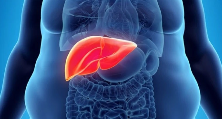 ఫ్యాటీ లివర్ నుండి మిమ్మల్ని మీరు రక్షించుకోవడానికి చిట్కాలు