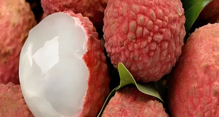 లీచీ పండ్లతో గుండె ఆరోగ్యానికి మేలు: నిపుణులు