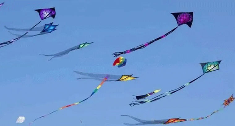 గాలిపటాలు ఎగురవేసేటప్పుడు ఈ జాగ్రత్తలు తప్పనిసరి!