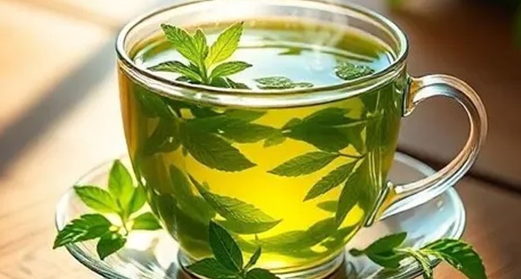 ‘గ్రీన్ టీ’ ఆరోగ్యానికి మంచిదేనా?