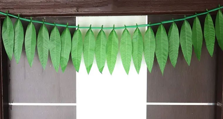 గుమ్మం వద్ద ఈ వస్తువులుంటే ధనానికి, సుఖానికి లోటుండదు!