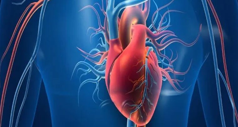 టాచీకార్డియా: గుండె వేగంగా కొట్టుకోవడం ప్రమాదకరం కావచ్చు
