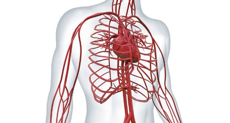 గుండెను కాపాడుకోవాలంటే ఈ ఆహారాలు తింటే చాలు