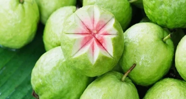 రోజూ ఎన్ని జామ‌కాయ‌ల‌ను తినాలి..?